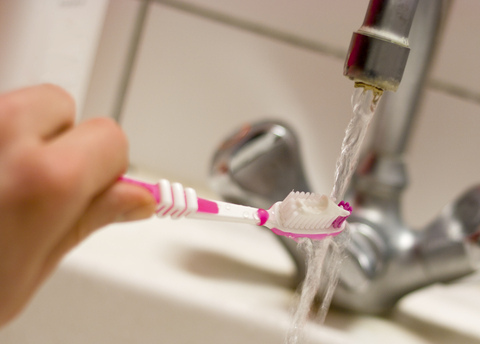 wpid dental germs on toothbrush