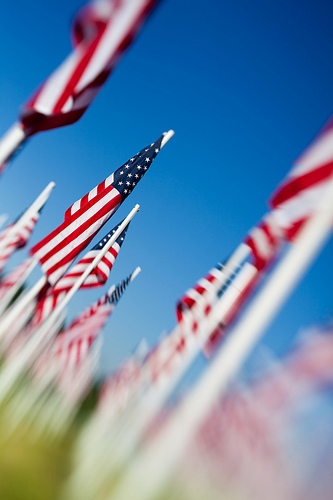 wpid holiday memorial day flag